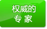 权威的专家