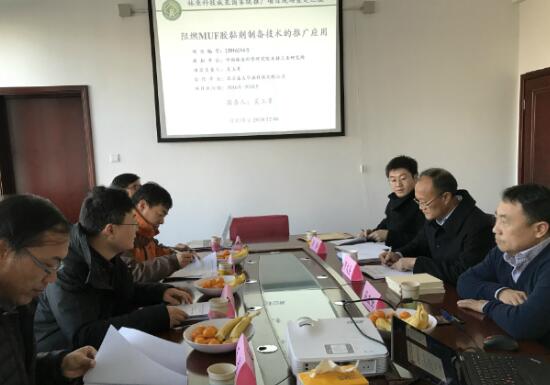 林业科技成果推广项目：阻燃MUF胶黏剂制备技术的推广应用现场查定会 在盛大华源固安工厂盛大召开