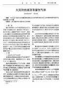 火灾时的烟及有害性气体_罗文圣
