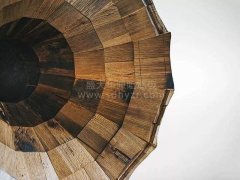 木质材料阻燃标准化与产业发展研讨一《阻燃木质材料介绍》