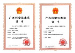 木材与木质复合材料功能化利用关键技术